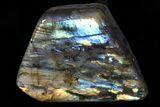 Lot: Lbs Free-Standing Polished Labradorite - Pieces #77656-4